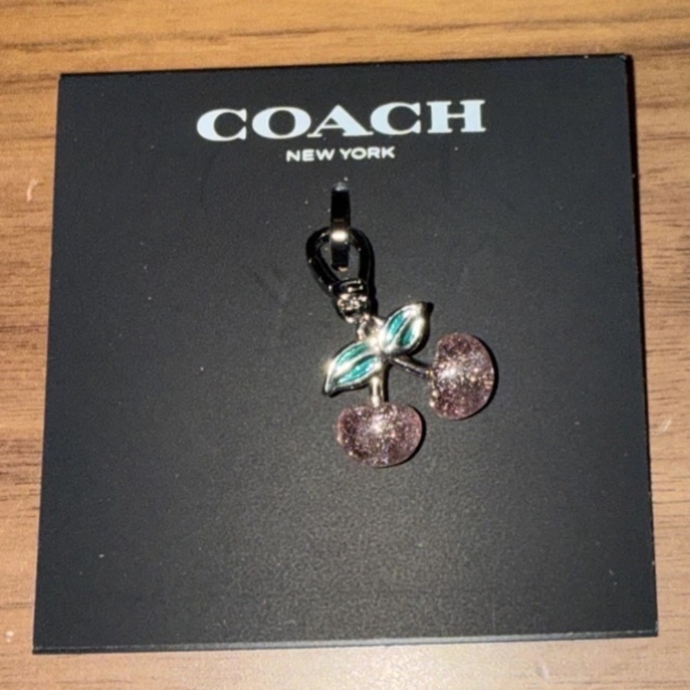Coach small key chain bag charm